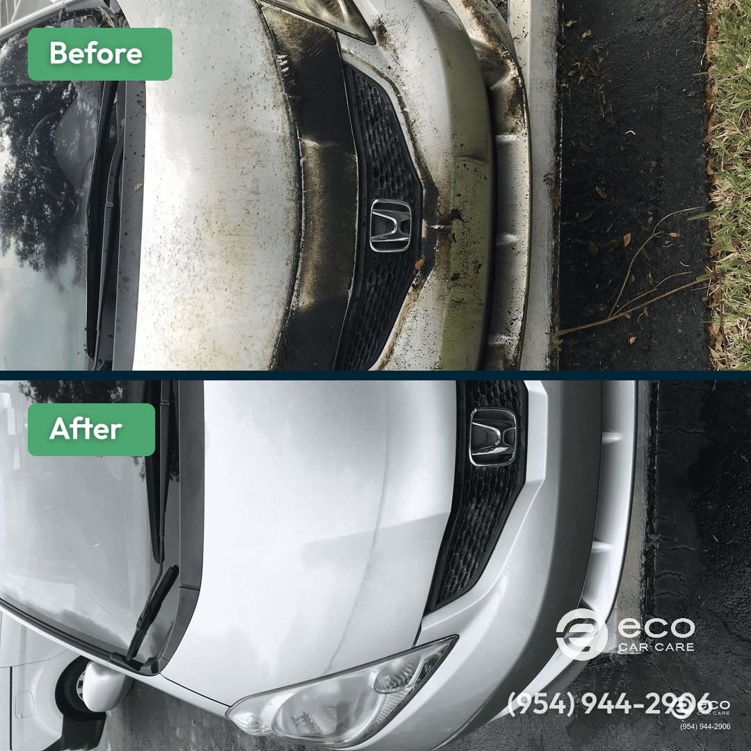 Before and after Detailing by Eco Car Care