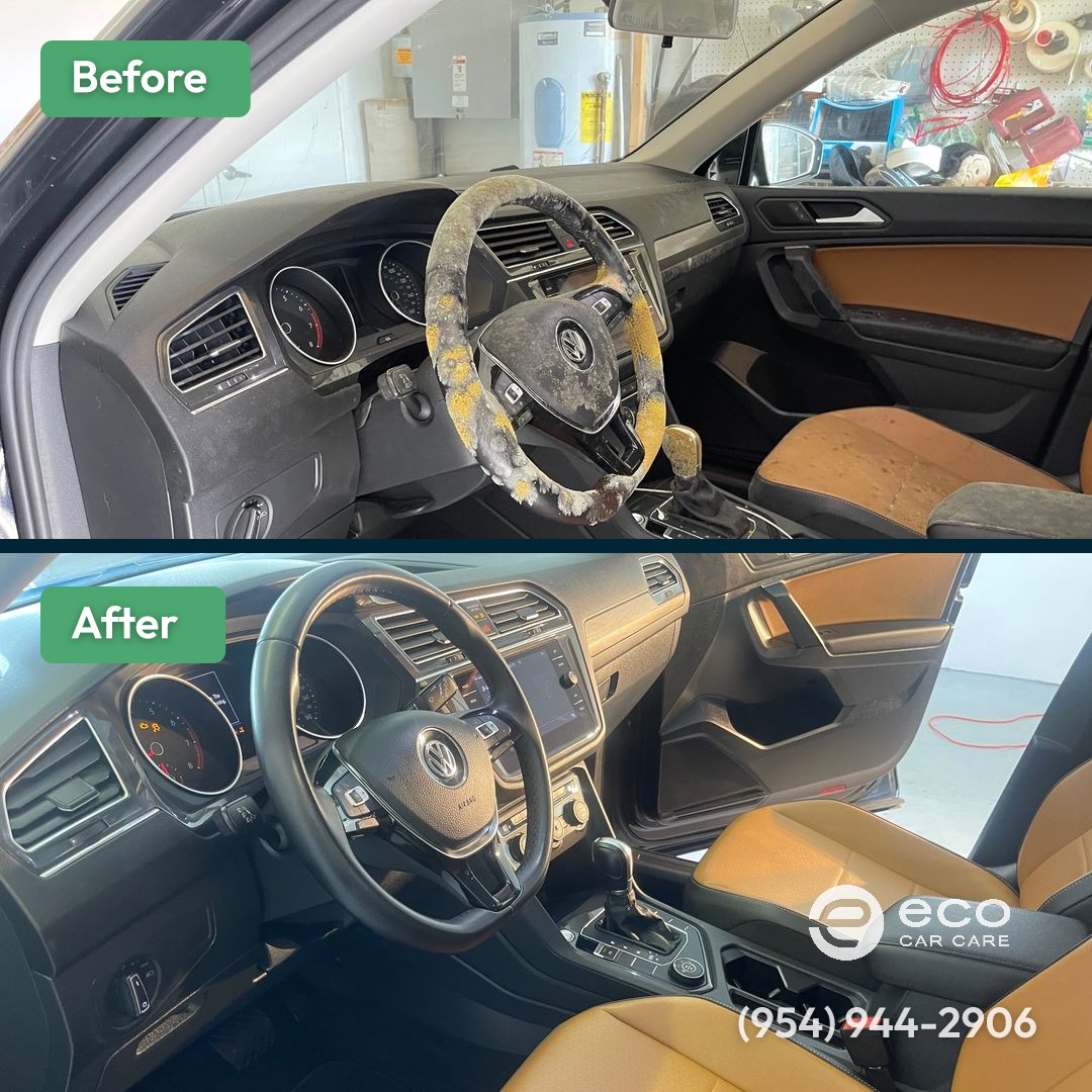 Before and after Car Mold Removal by Eco Car Care