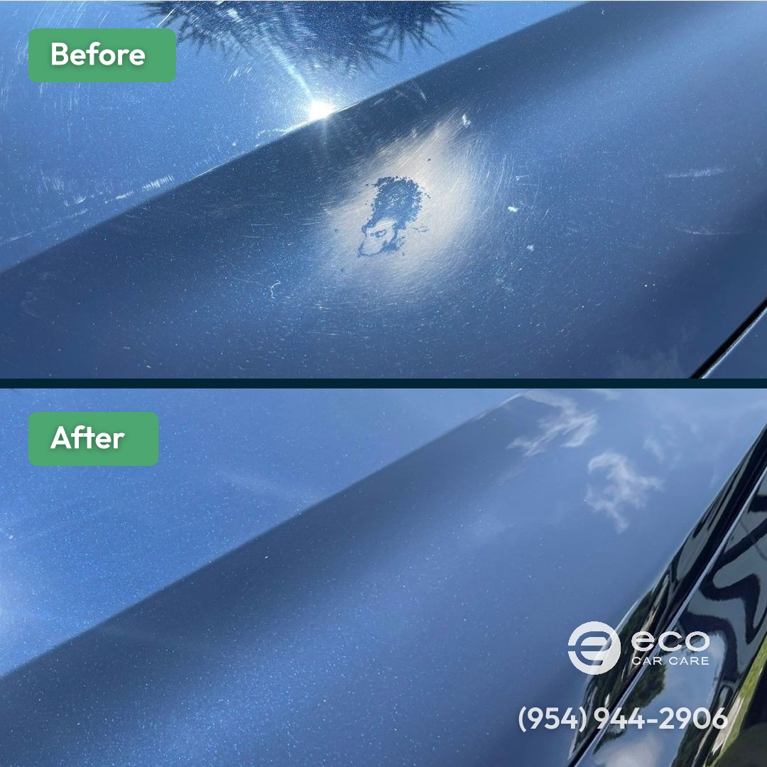 Before and after Paint Correction by Eco Car Care